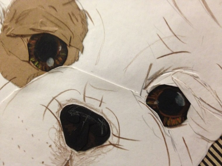 Look at those eyes...