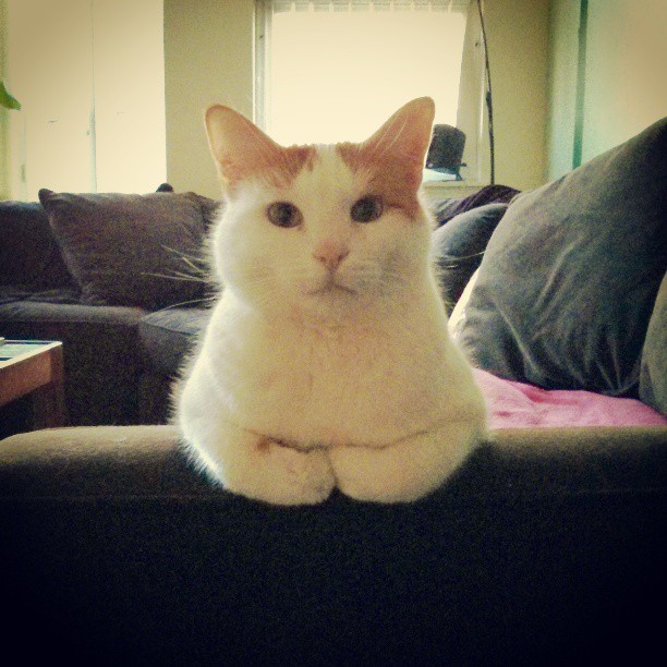 216734_10101939044815548_2120257478_n