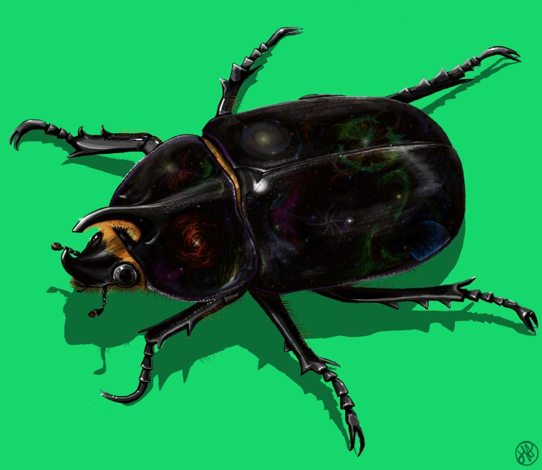 cosmicbeetle