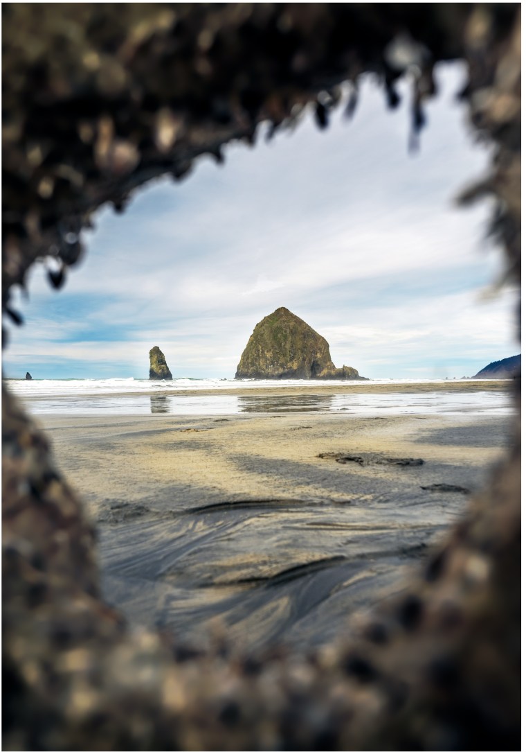 haystackthroughthewood